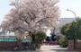 中学校　大井東中学校（中学校）まで2198m