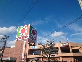 その他　イズミヤ様まで600m