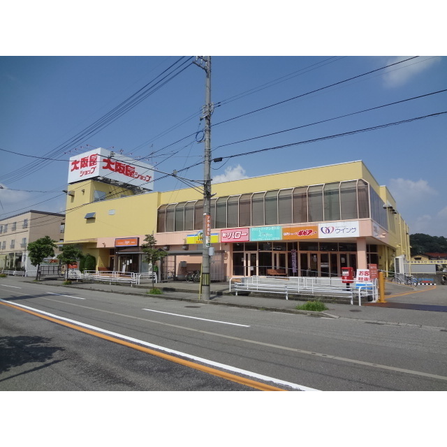 スーパー　大阪屋ショップハロー店（スーパー）まで46m