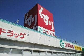 ドラックストア　スギ薬局西岩田店（ドラッグストア）まで801m