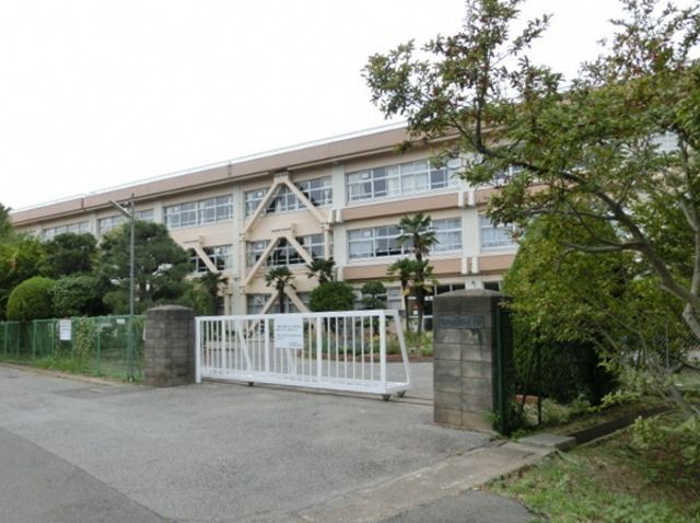 小学校　柏市立柏第七小学校（小学校）まで550m
