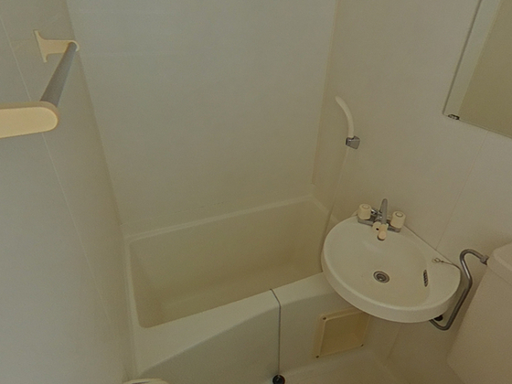 バス・シャワールーム　※別号室のお写真です