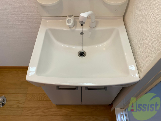 洗面設備　シャワー付きの独立洗面台が付いております。