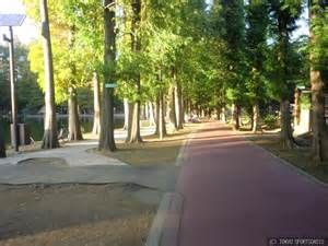 公園　別所沼公園（公園）まで900m