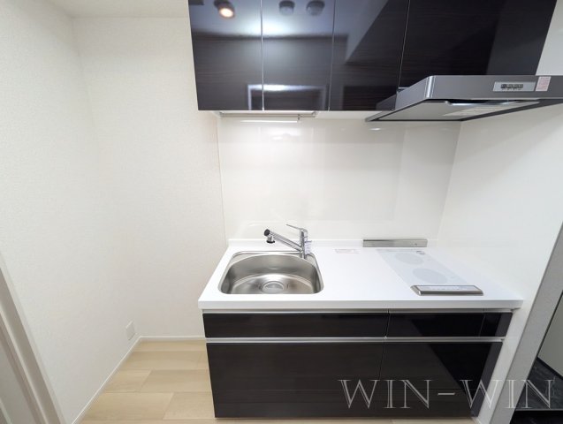 キッチン　イメージ（同施工会社同一モデルの写真です）