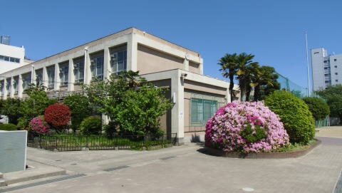 小学校　千石小学校（小学校）まで544m