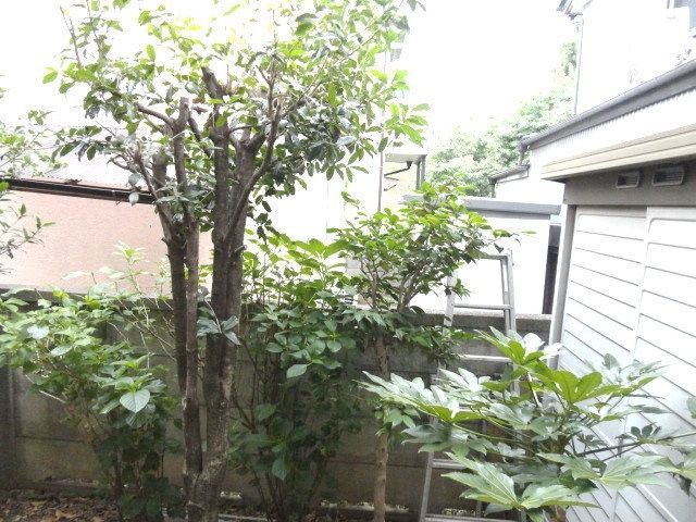 眺望　★緑のある風景★