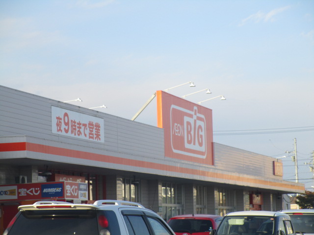 スーパー　ザ・ビッグ 東雁来店（スーパー）まで1038m