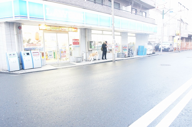 コンビニ　ローソン「川崎堀之内町店」（コンビニ）まで103m