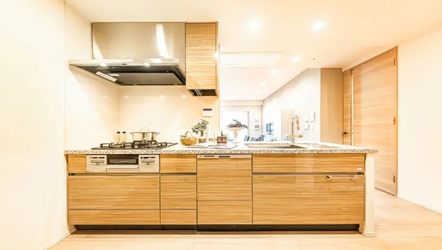 キッチン　＜カウンターキッチン＞食器洗浄機、ディスポーザー付きです！※