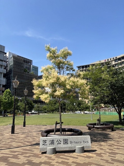 公園　芝浦公園（公園）まで400m