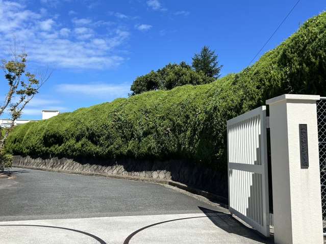 高校・高専　筑紫高等学校（高校・高専）まで166m