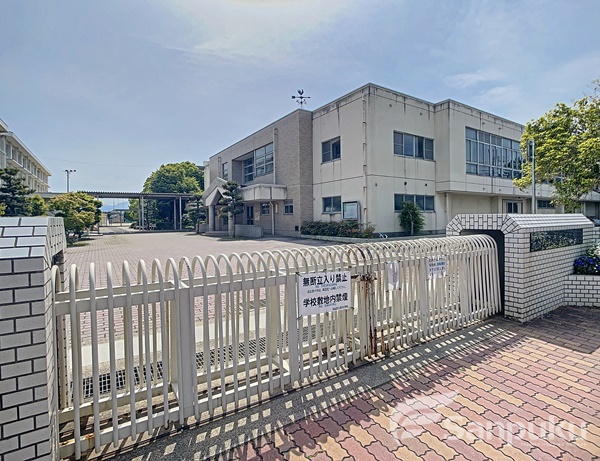 小学校　浮穴小学校（小学校）まで208m