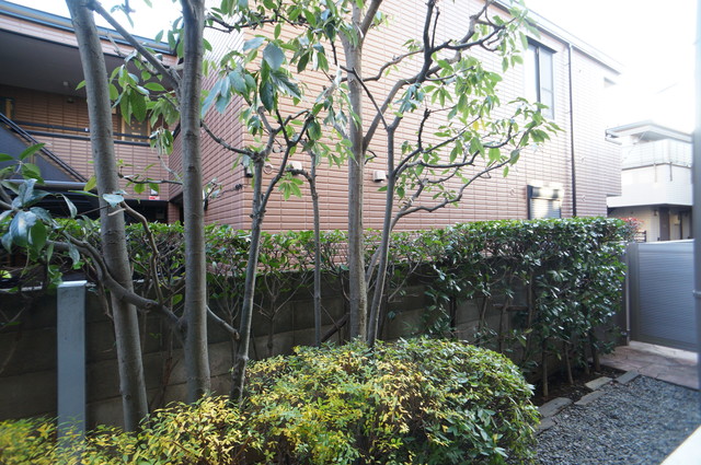 眺望　お部屋前には緑があるので、心癒されます☆