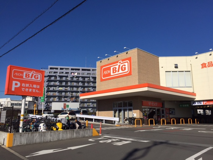スーパー　The Big(ザ・ビッグ) 平塚真田店（スーパー）まで700m
