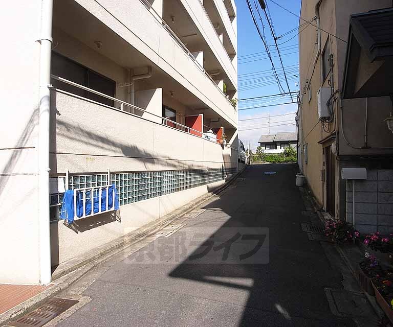 その他　エントランス前の道です。