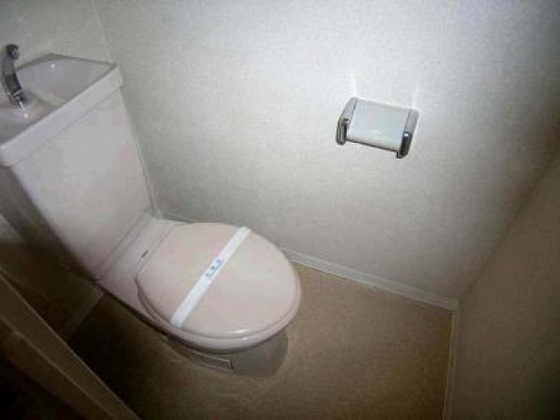 トイレ　※他号室の写真です