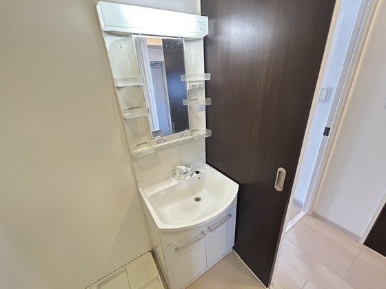 洗面設備　※別号室の写真です