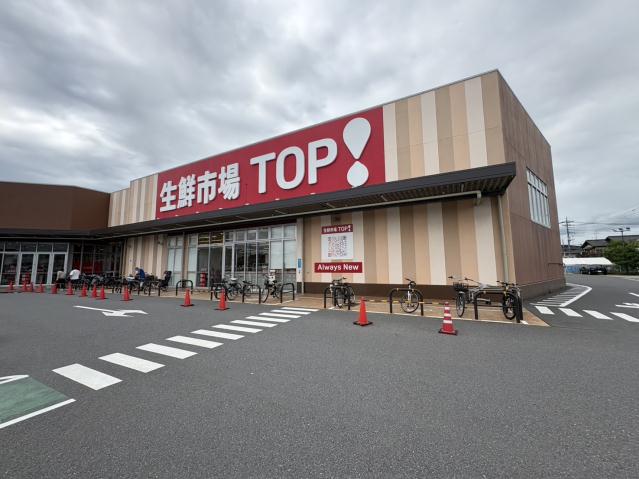 スーパー　生鮮市場TOP 八潮伊草店（スーパー）まで804m