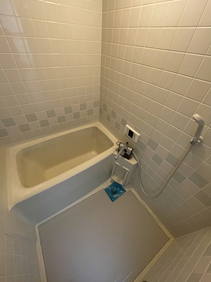 バス・シャワールーム　※別号室の写真でございます。