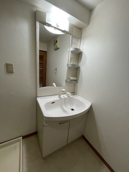 洗面設備　※別号室の写真でございます。