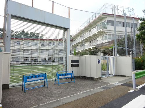 小学校　目黒区立八雲小学校（小学校）まで1259m