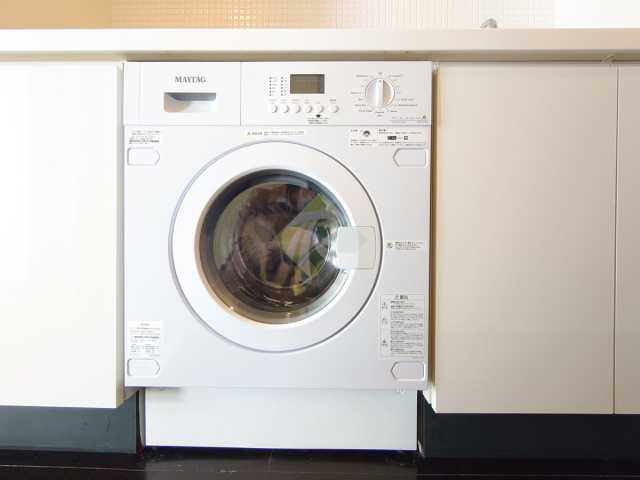 その他設備　プライマル新宿若松町※他のお部屋の参考写真となります。