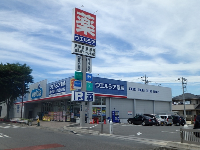 ドラックストア　ウエルシア薬局（ドラッグストア）まで348m