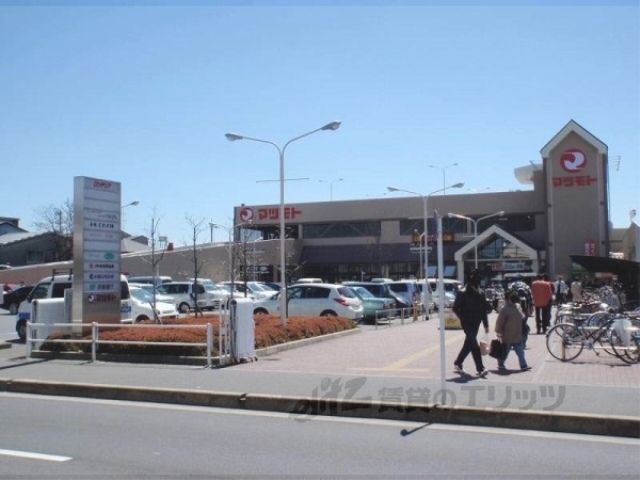 スーパー　スーパーマツモト伏見店（スーパー）まで1000m