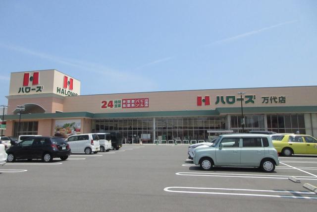 スーパー　ハローズ 万代店（スーパー）まで1204m