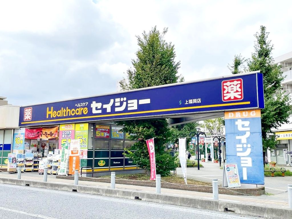 ドラックストア　くすりセイジョー上福岡店（ドラッグストア）まで780m