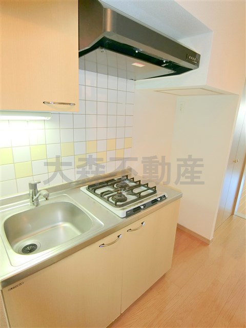 キッチン　2口ガスシステムキッチン