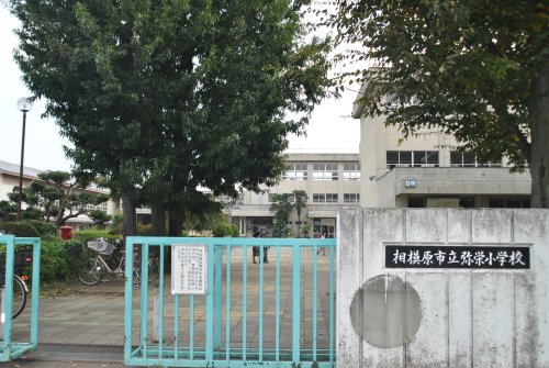 小学校　相模原市立弥栄小学校（小学校）まで347m