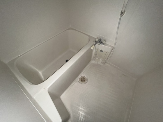 バス・シャワールーム　※別部屋の写真です