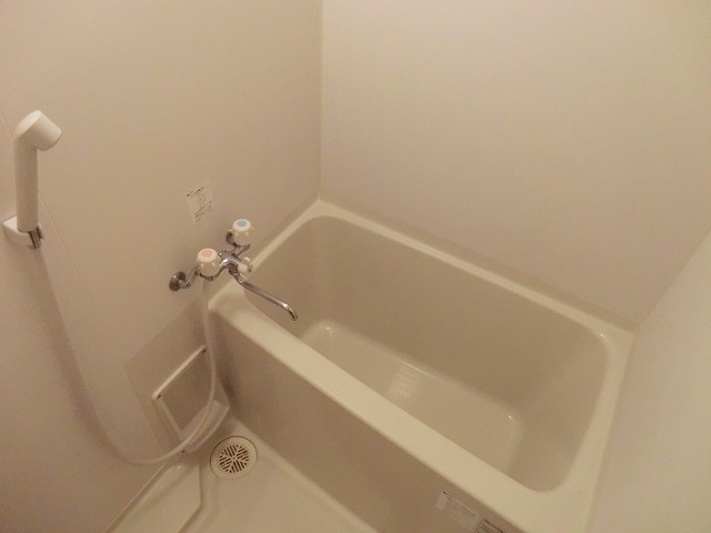 バス・シャワールーム　落ち着いた空間のお風呂です※別号室の写真です