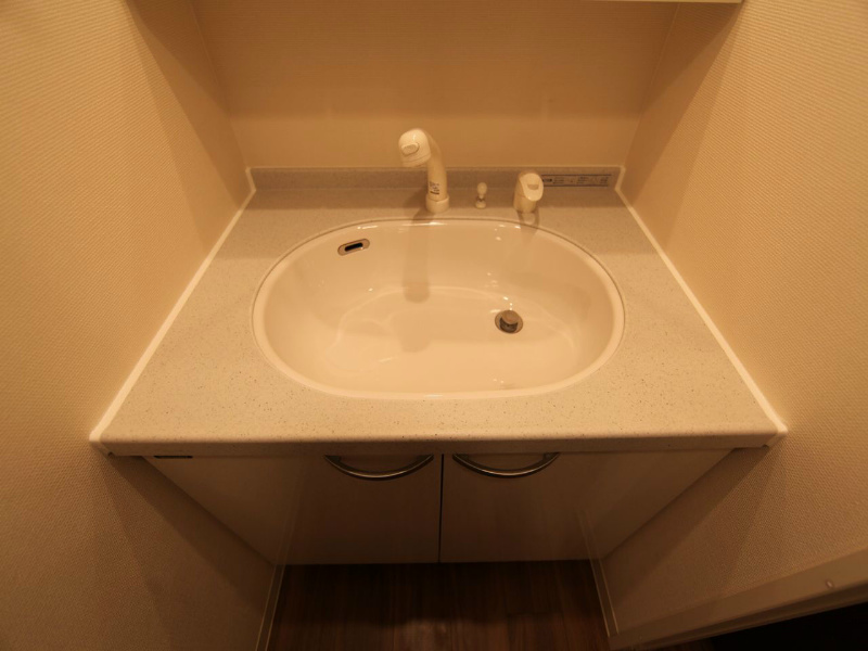 洗面設備　脱衣所　独立洗面台付（シャンプードレッサー付）