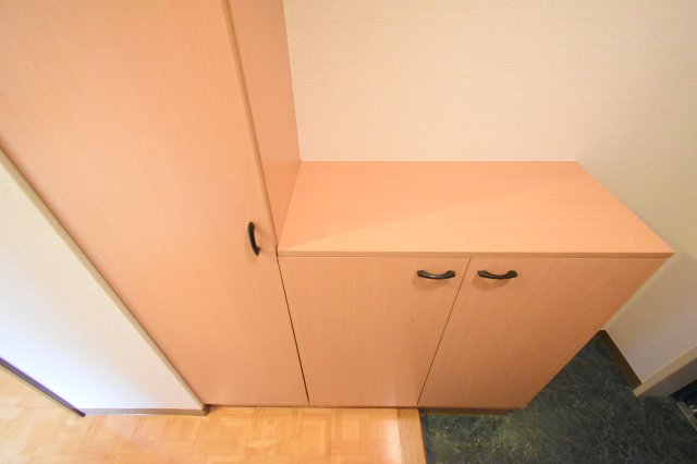 収納　別部屋参考写真