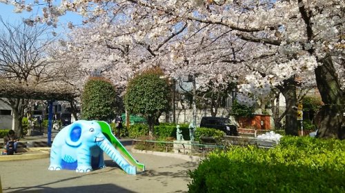 公園　かむろ坂公園（公園）まで290m