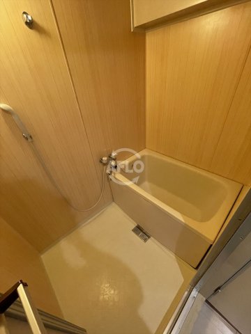 バス・シャワールーム　エクセルハイム川富　浴室