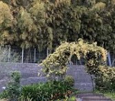 その他　カネ塚古墳（その他）まで1062m