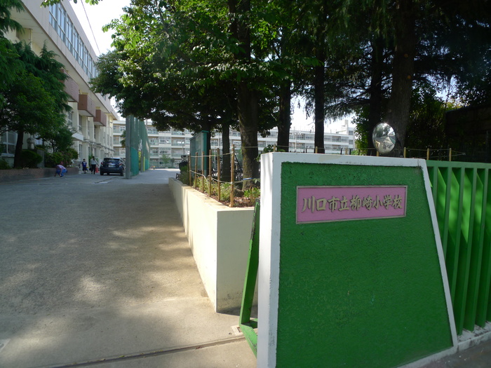 小学校　川口市柳崎小学校（小学校）まで344m