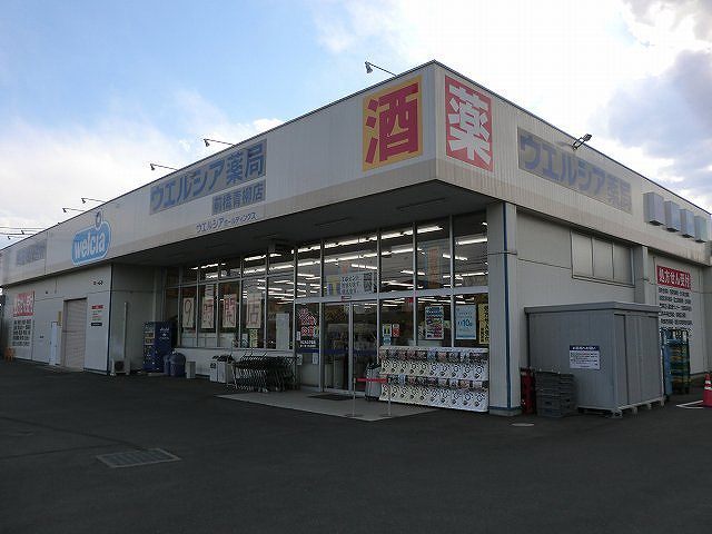 ドラックストア　ウエルシア前橋青柳店（ドラッグストア）まで1300m