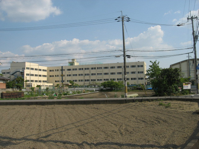 中学校　高槻市立冠中学校（中学校）まで531m