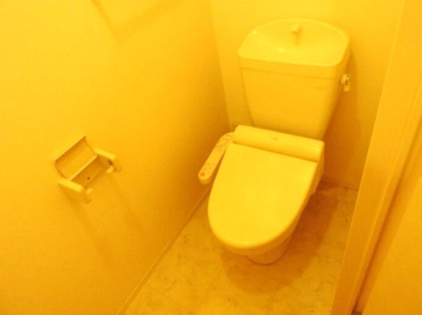 トイレ　※イメージ　同物件別号室の写真