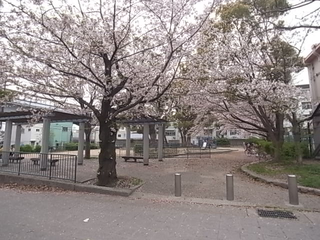 公園　西郷公園（公園）まで185m