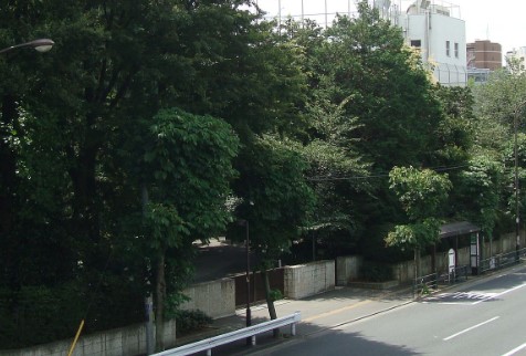 小学校　私立慶應義塾幼稚舎（小学校）まで321m