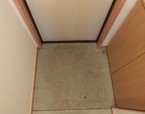玄関　（別タイプ参考写真）グリーンシーダ　豊島区 西池袋2
