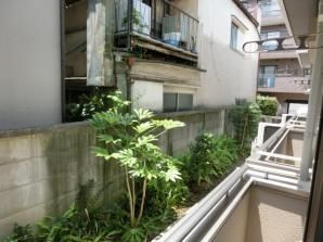 眺望　（別タイプ参考写真）グリーンシーダ　豊島区 西池袋2