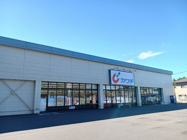 ドラックストア　カワチ薬品　城里店（ドラッグストア）まで1250m