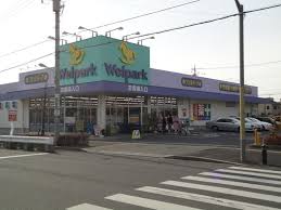 ドラックストア　ウェルパーク薬局日野栄町店（ドラッグストア）まで2703m